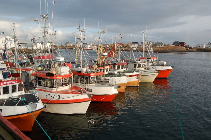 I dag har plastsjarken tatt over på Røst.