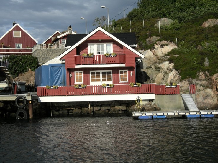 Blomster som fender?