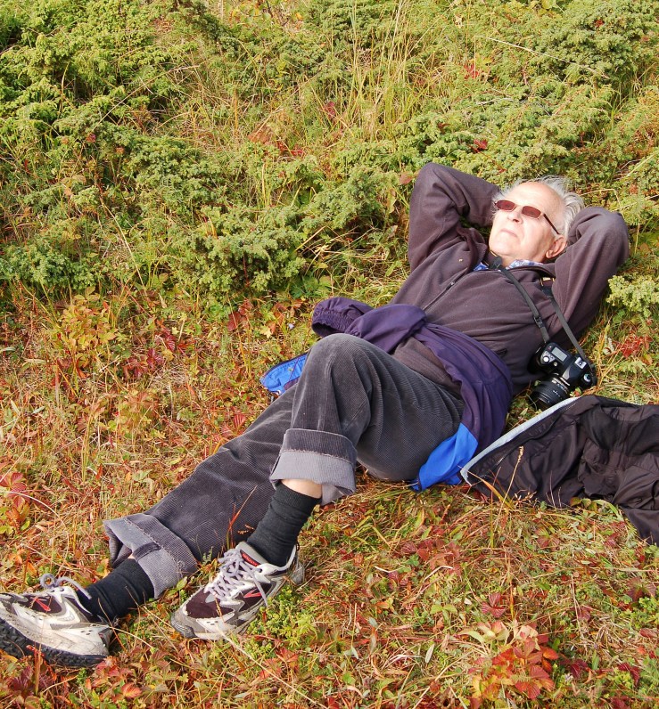 I gress og lyng på Senja, 2008. (Foto: Hilde Kat. Eriksen).