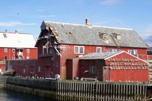 Krykkjene på rorbua. Foto: Hilde Kat. Eriksen