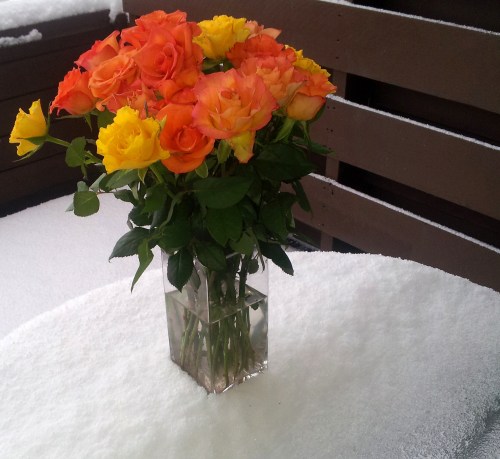 En varmere vinter? Foto: Hilde Kat. Eriksen