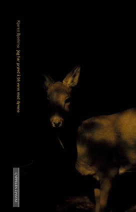 Bjorkmo_JegHarProvdA