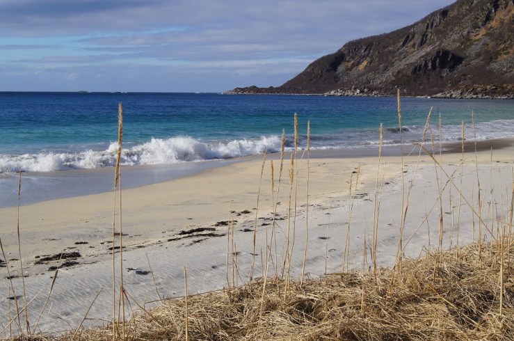 Strand og hav, Bøvær. Foto: Hilde Kat. Eriksen