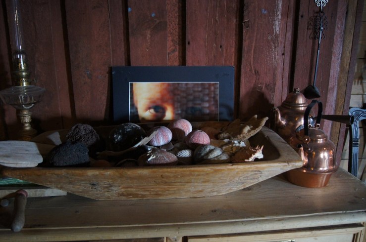 Fra Nerstua på Kråkeslottet. Foto: HIlde Kat. Eriksen