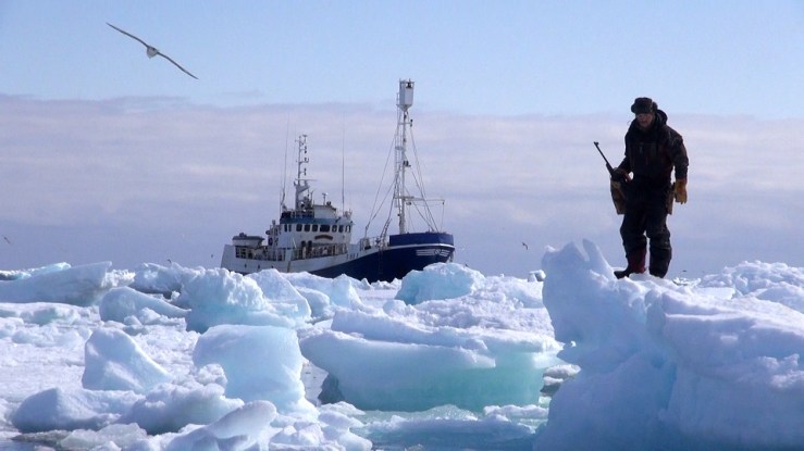 FILM Ishavsblod jpeg