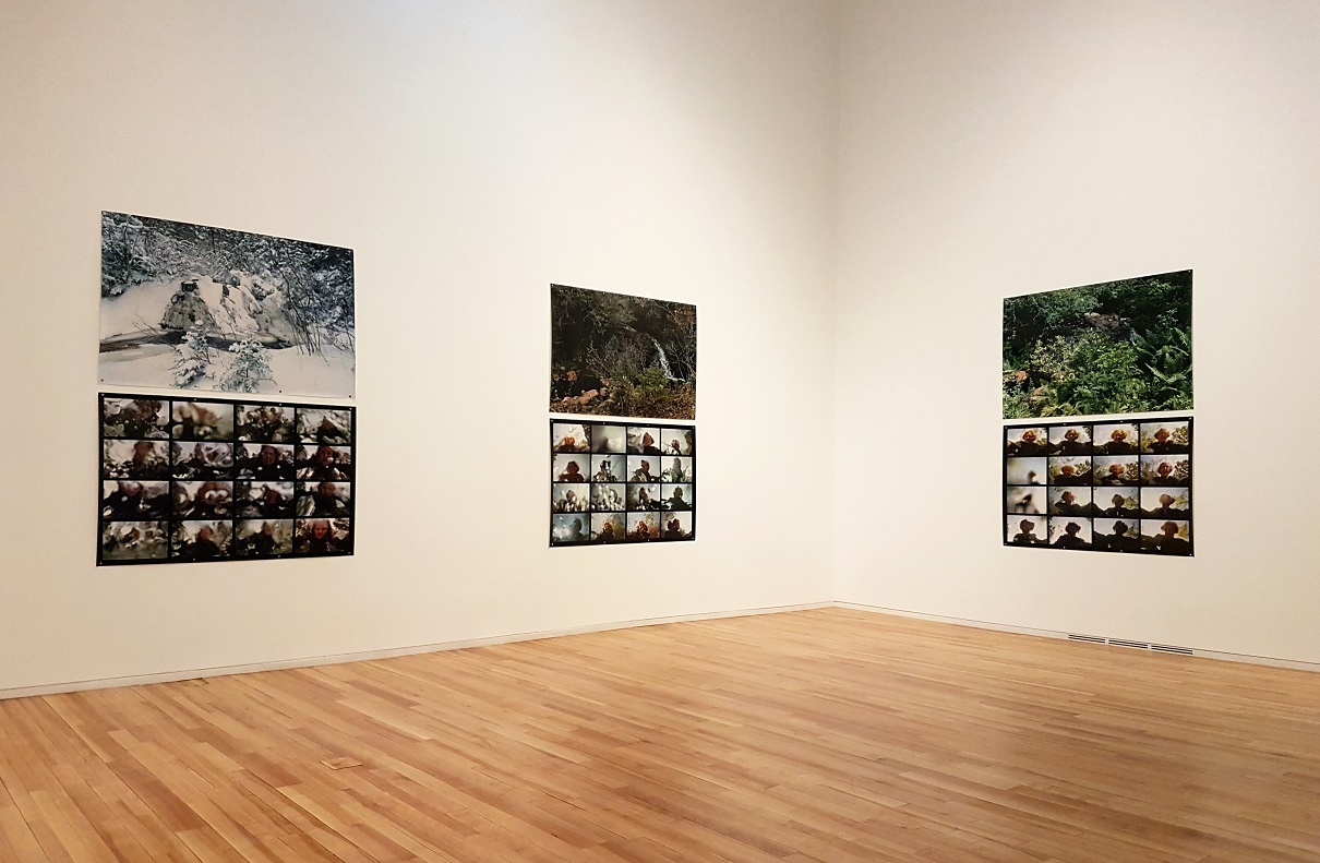 Some of the photos on Marlene Create's photo exhibition at Fogo Island Gallery. Photo: Hilde Kat. Eriksen