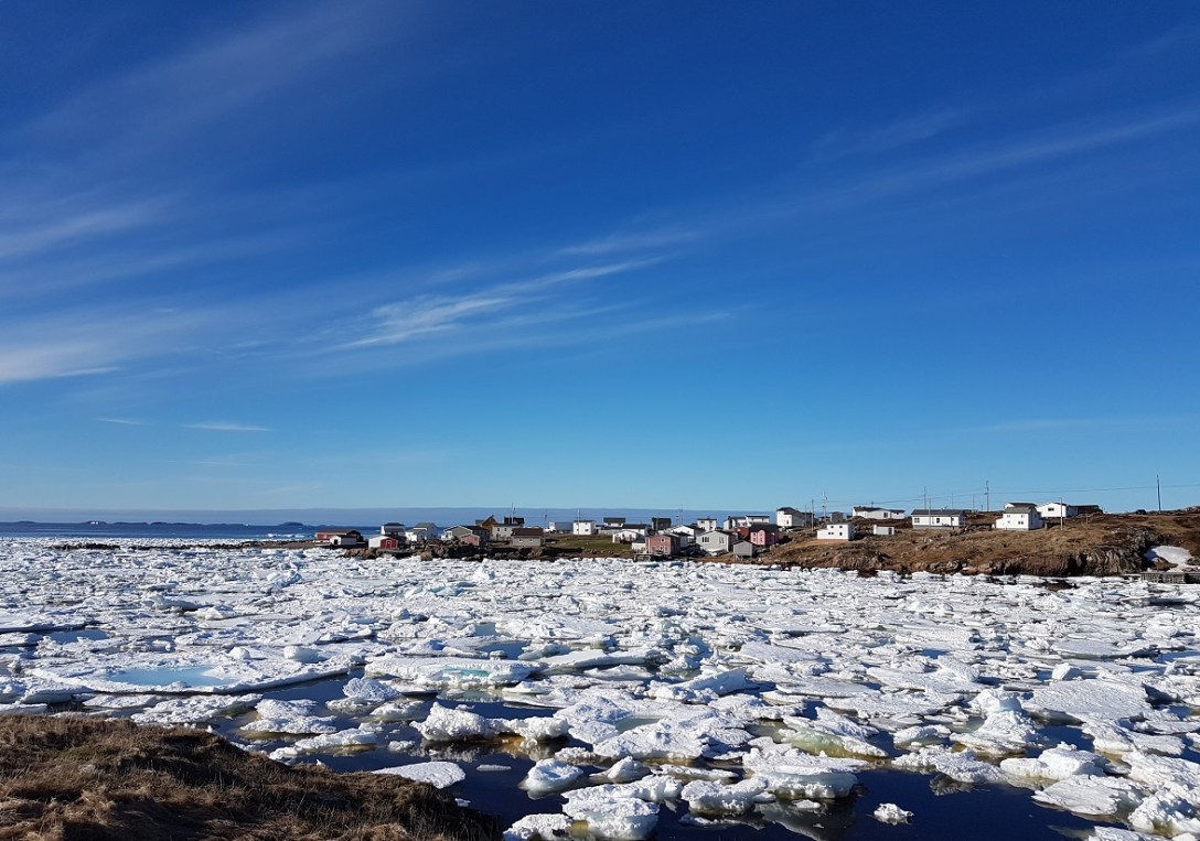 Vind og strøm fører isen fra Grønland inn i buktene på Fogo, Newfoundland, Canada. Foto: Hilde Kat. Eriksen