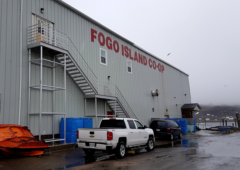 Fogo Island Fisheries Co-op. Photo: Hilde Kat. Eriksen